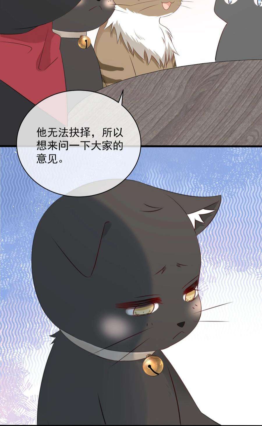 营养过良027 猫咪的圆桌会议