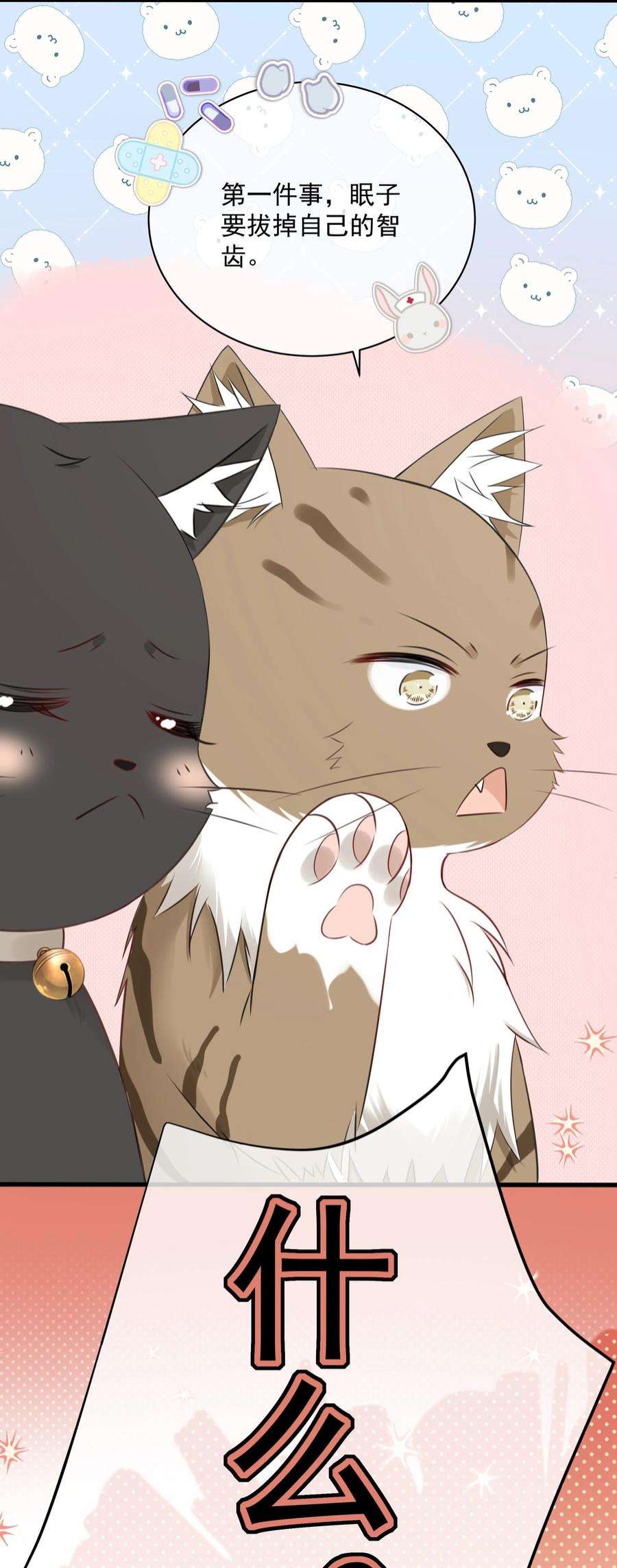 营养过良027 猫咪的圆桌会议