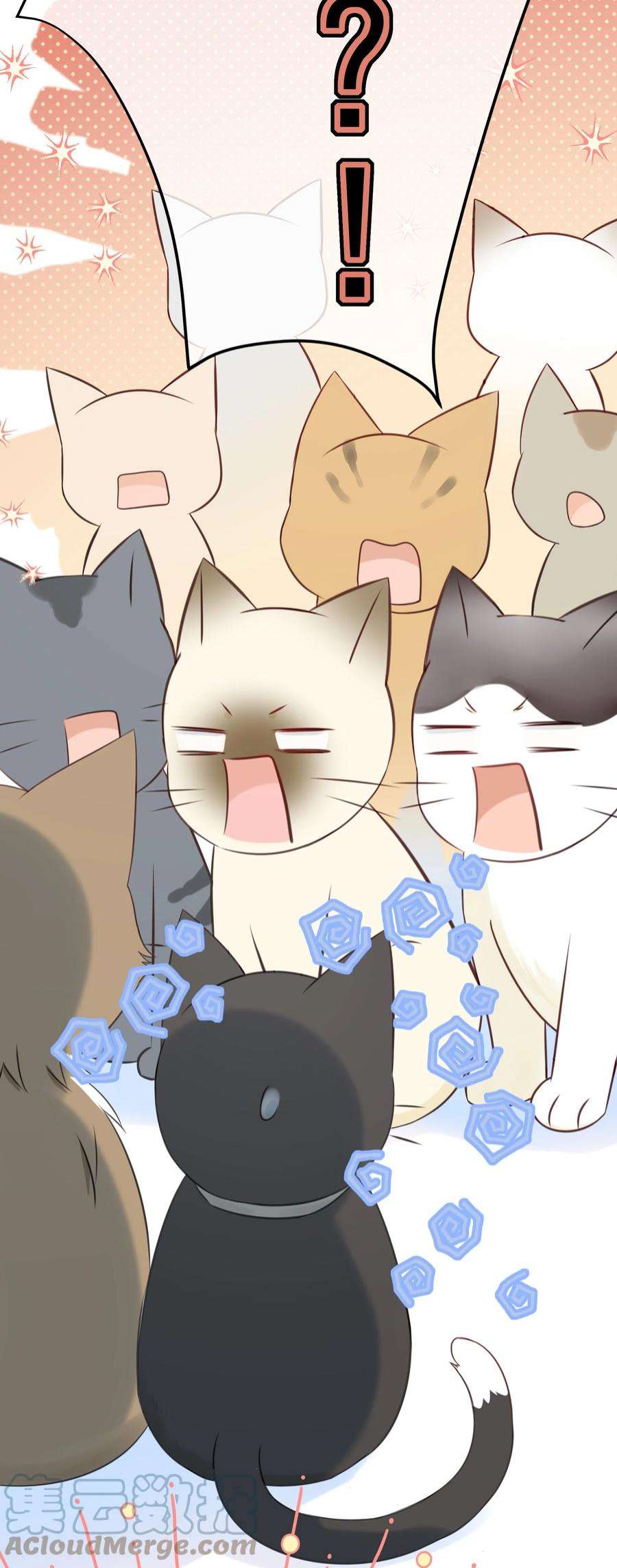 营养过良027 猫咪的圆桌会议