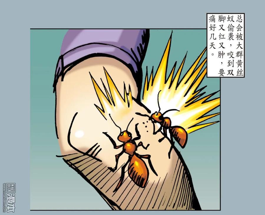 山海逆战25话 相聚一刻（下）