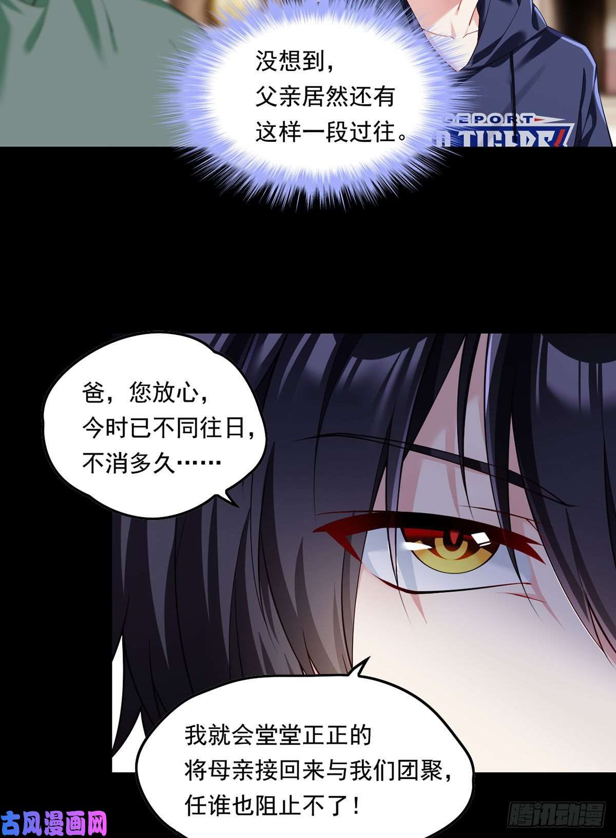 仙尊洛无极064.仙尊身世之谜