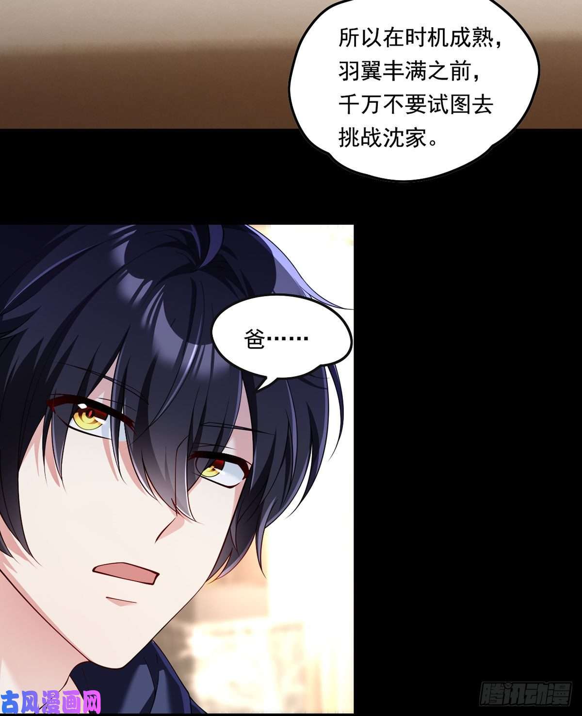 仙尊洛无极064.仙尊身世之谜