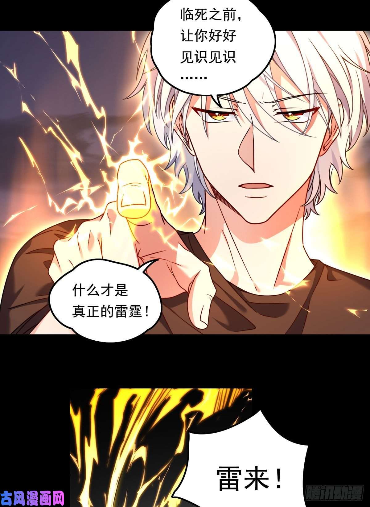 仙尊洛无极094.真正的雷霆