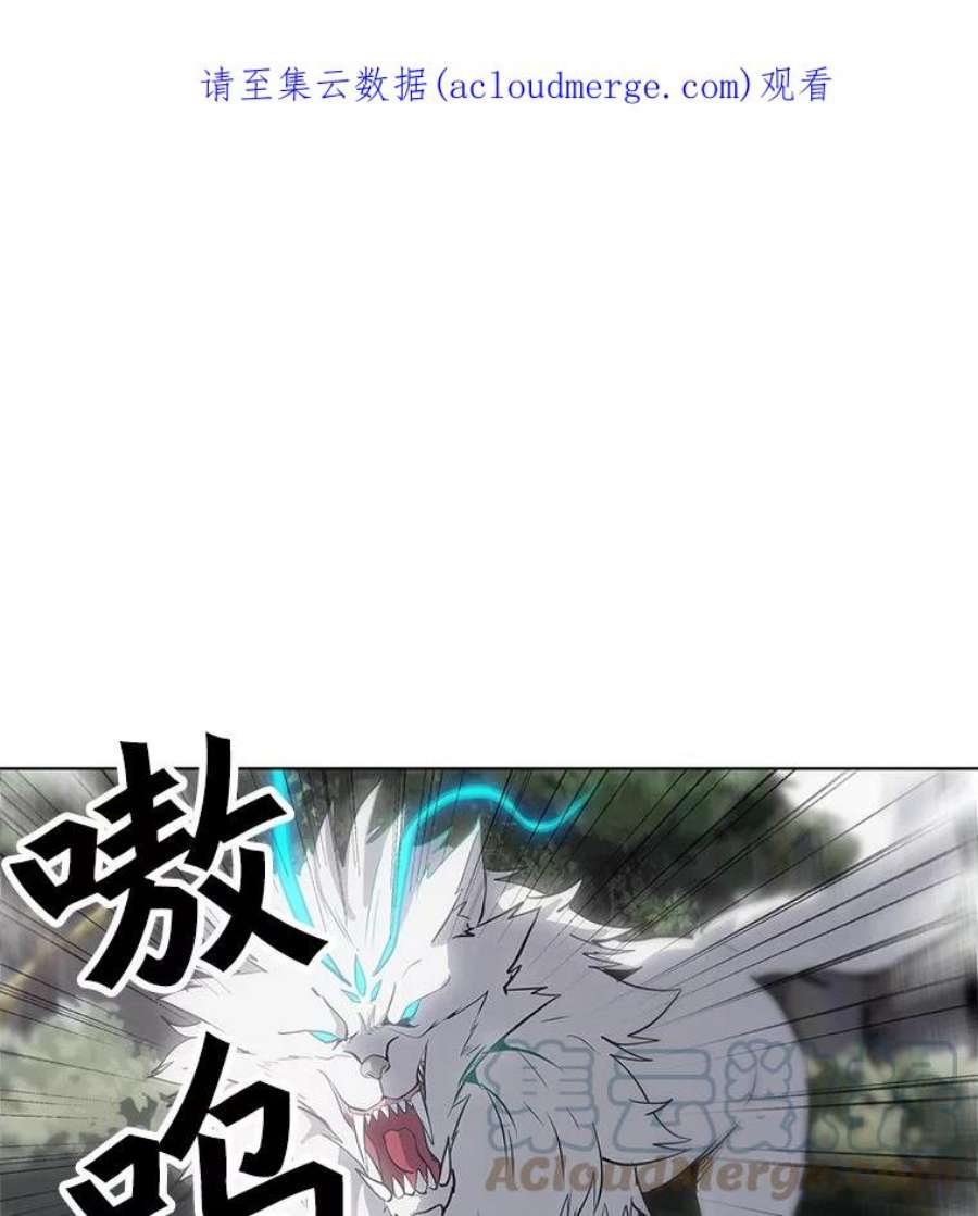 我独自使用咒语11.领域巨狼