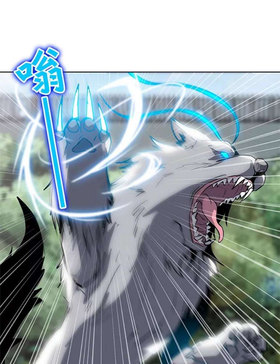 我独自使用咒语11.领域巨狼