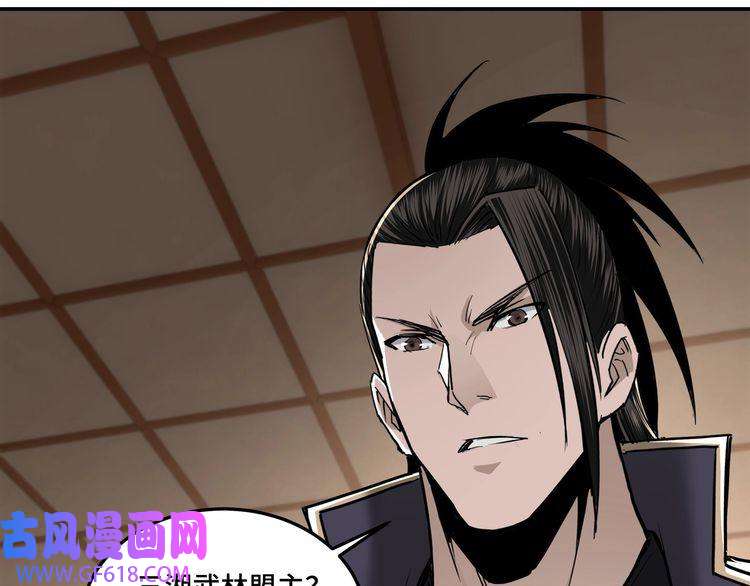 最强反派系统第38话 武林宝藏