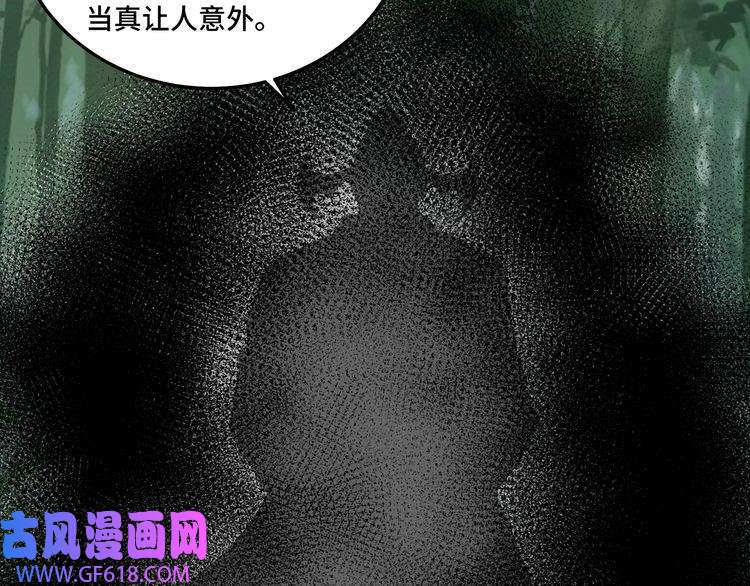 最强反派系统第100话 神秘人