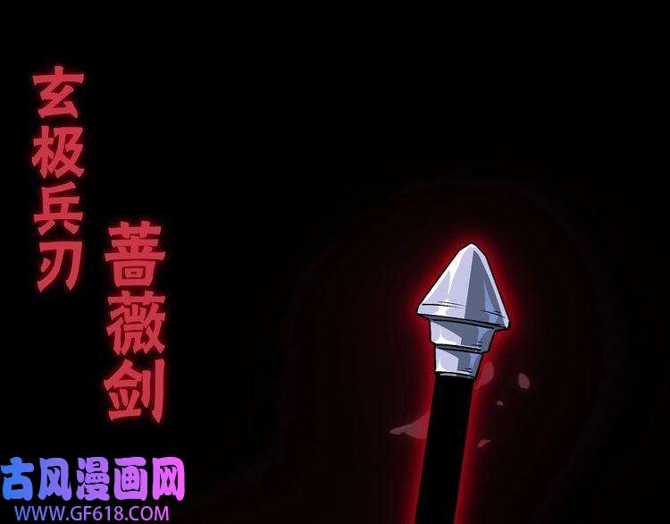 最强反派系统第156话 蔷薇剑