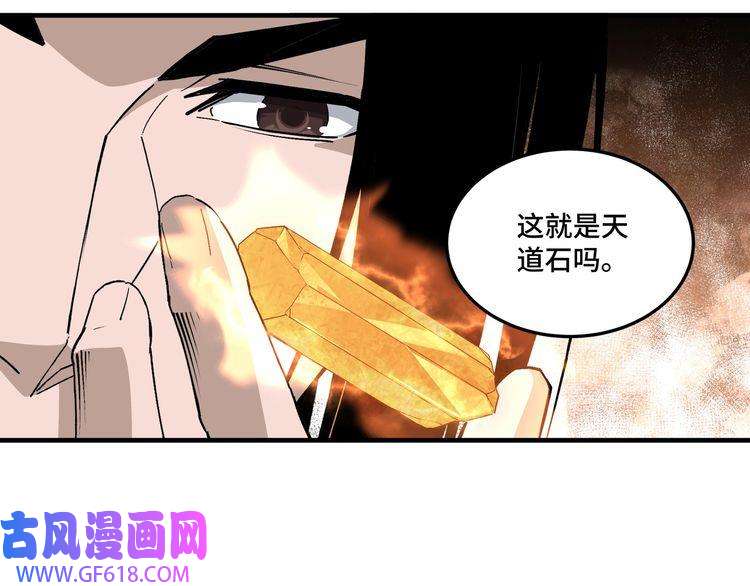 最强反派系统第202话 天道石