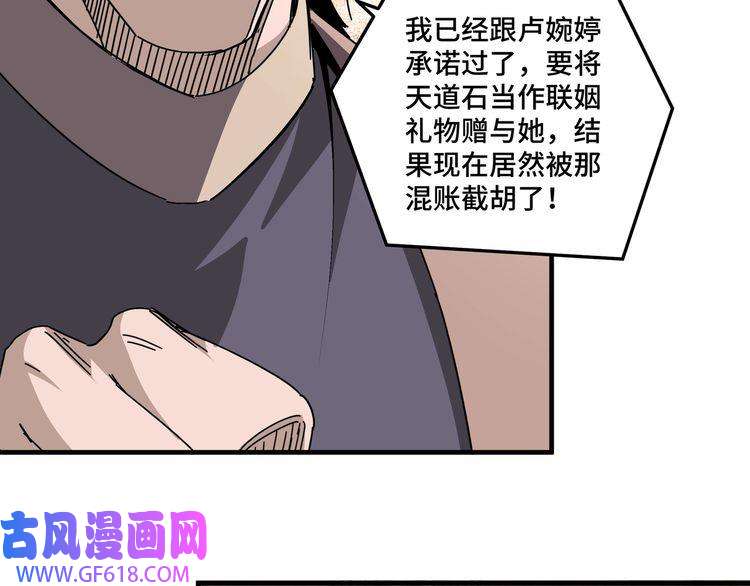 最强反派系统第202话 天道石