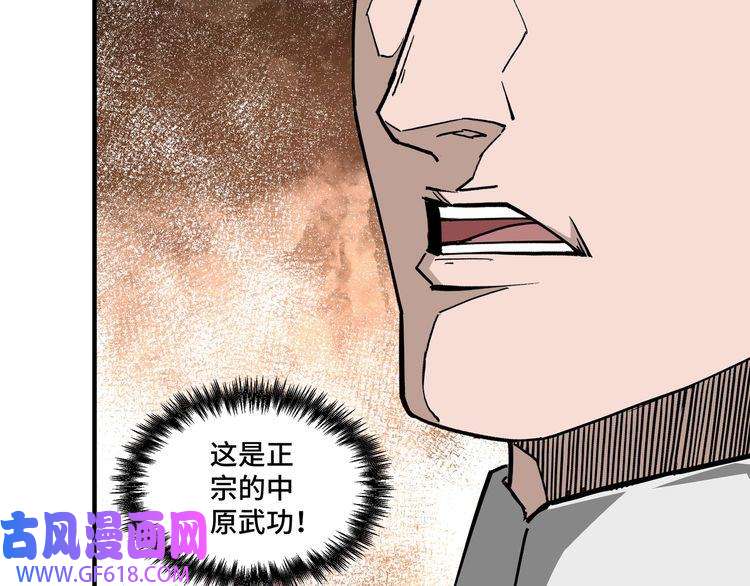 最强反派系统第236话 正宗的中原武功