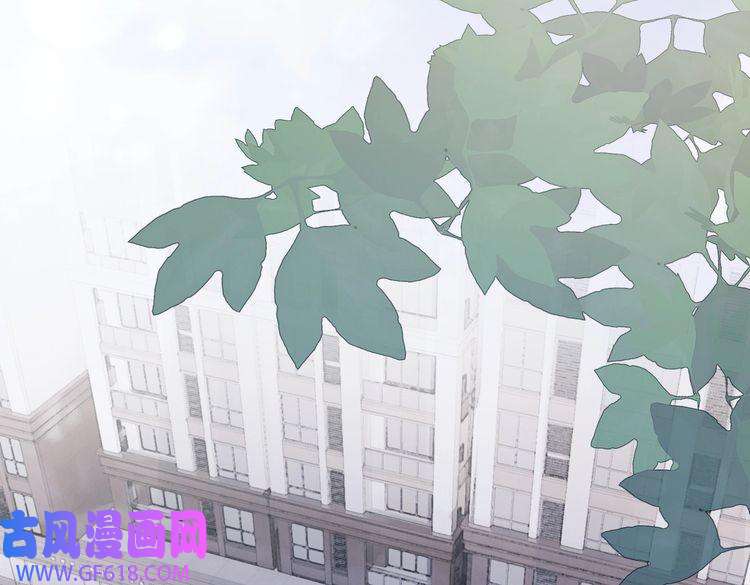 快穿女配冷静点第88话 强强互撩