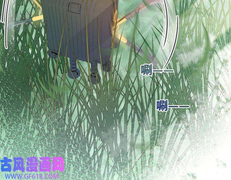 快穿女配冷静点第93话 野外生存直播