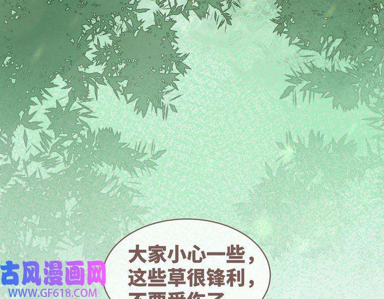 快穿女配冷静点第93话 野外生存直播