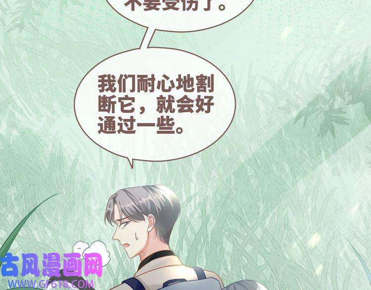 快穿女配冷静点第93话 野外生存直播
