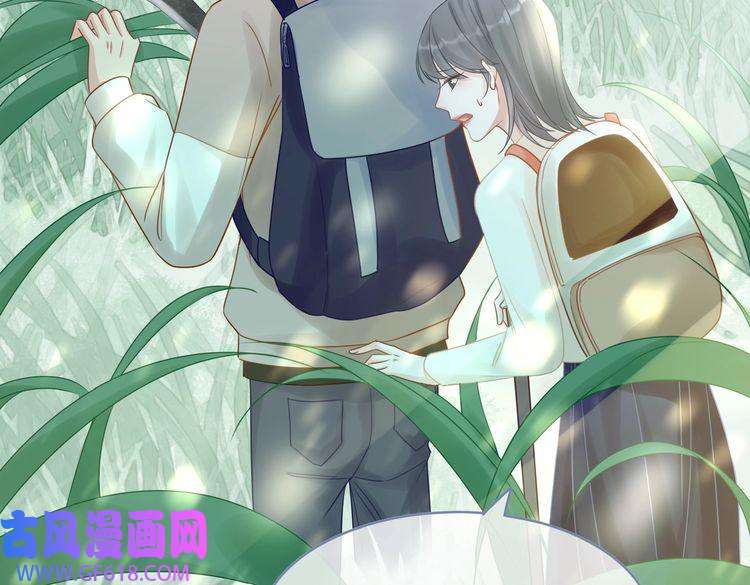 快穿女配冷静点第93话 野外生存直播