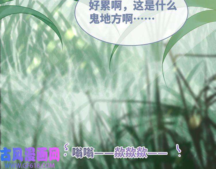 快穿女配冷静点第93话 野外生存直播