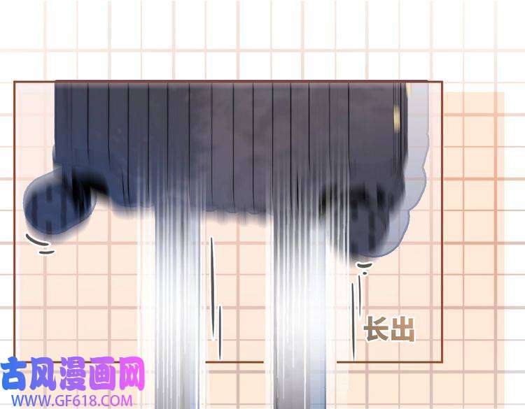 快穿女配冷静点第93话 野外生存直播