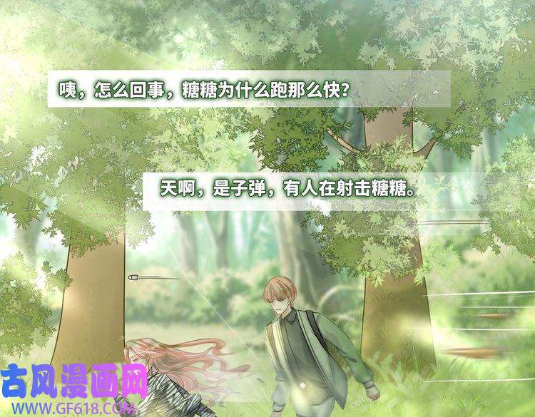 快穿女配冷静点第97话 遭遇杀手？！
