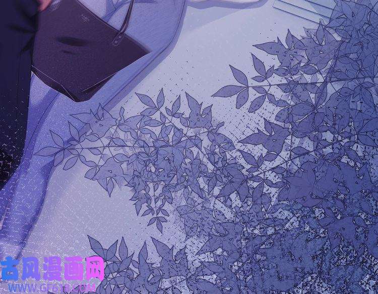 快穿女配冷静点第37话 关心则乱