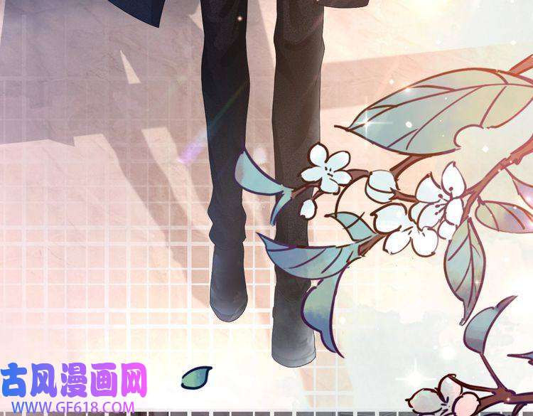 快穿女配冷静点第45话 宠妹狂魔