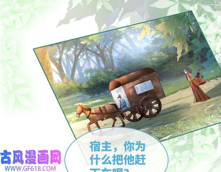 快穿女配冷静点第51话 自恋狂魔