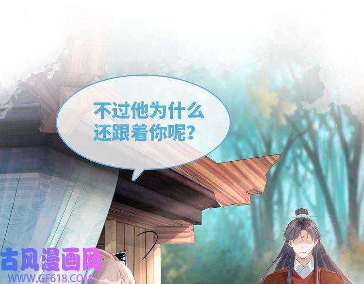 快穿女配冷静点第51话 自恋狂魔
