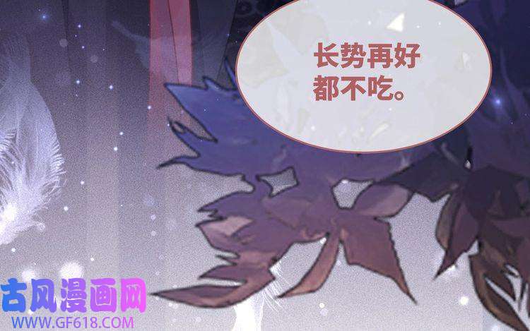 快穿女配冷静点第62话 迟来的告白