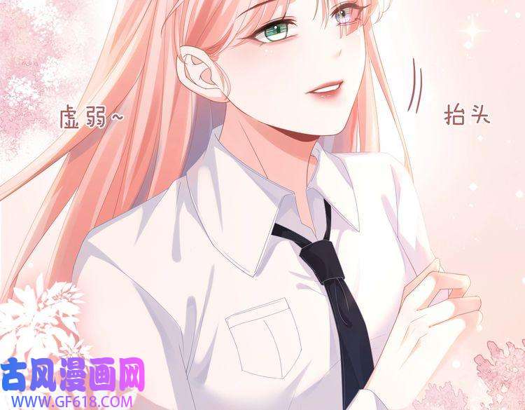 快穿女配冷静点第75话 默默关心