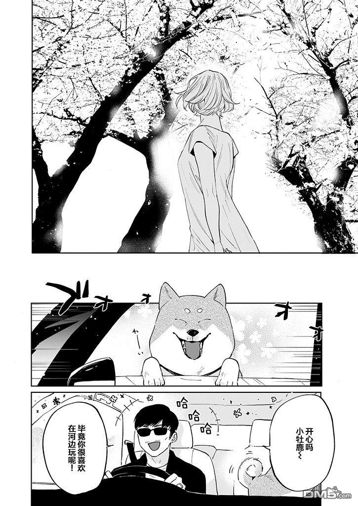 雨过天晴 花光相映第4话