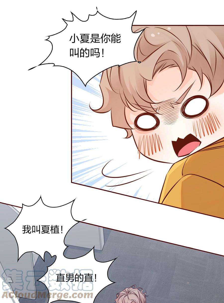 爱你，无关其他006 你想要做什么？
