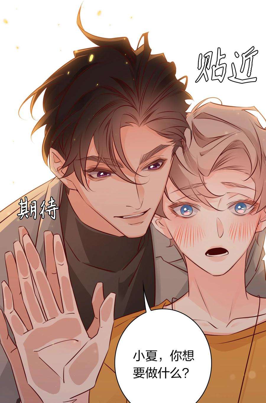 爱你，无关其他006 你想要做什么？