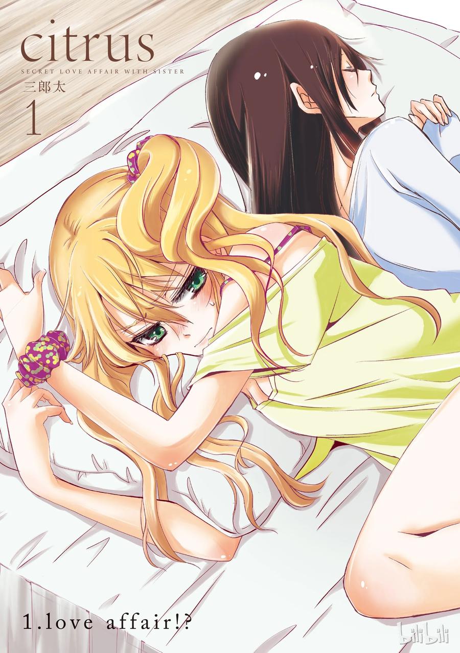 citrus 柑橘味香气01