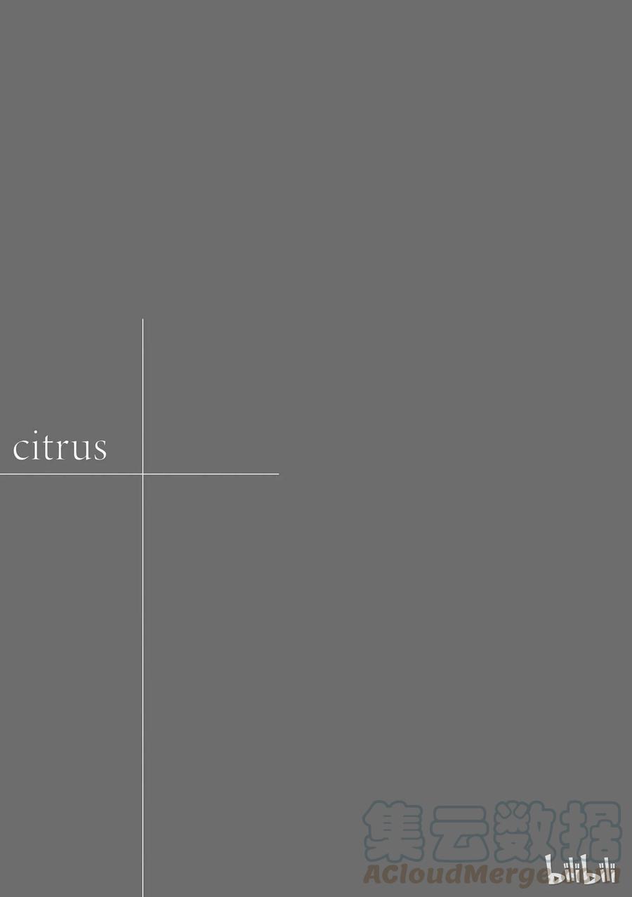 citrus 柑橘味香气01
