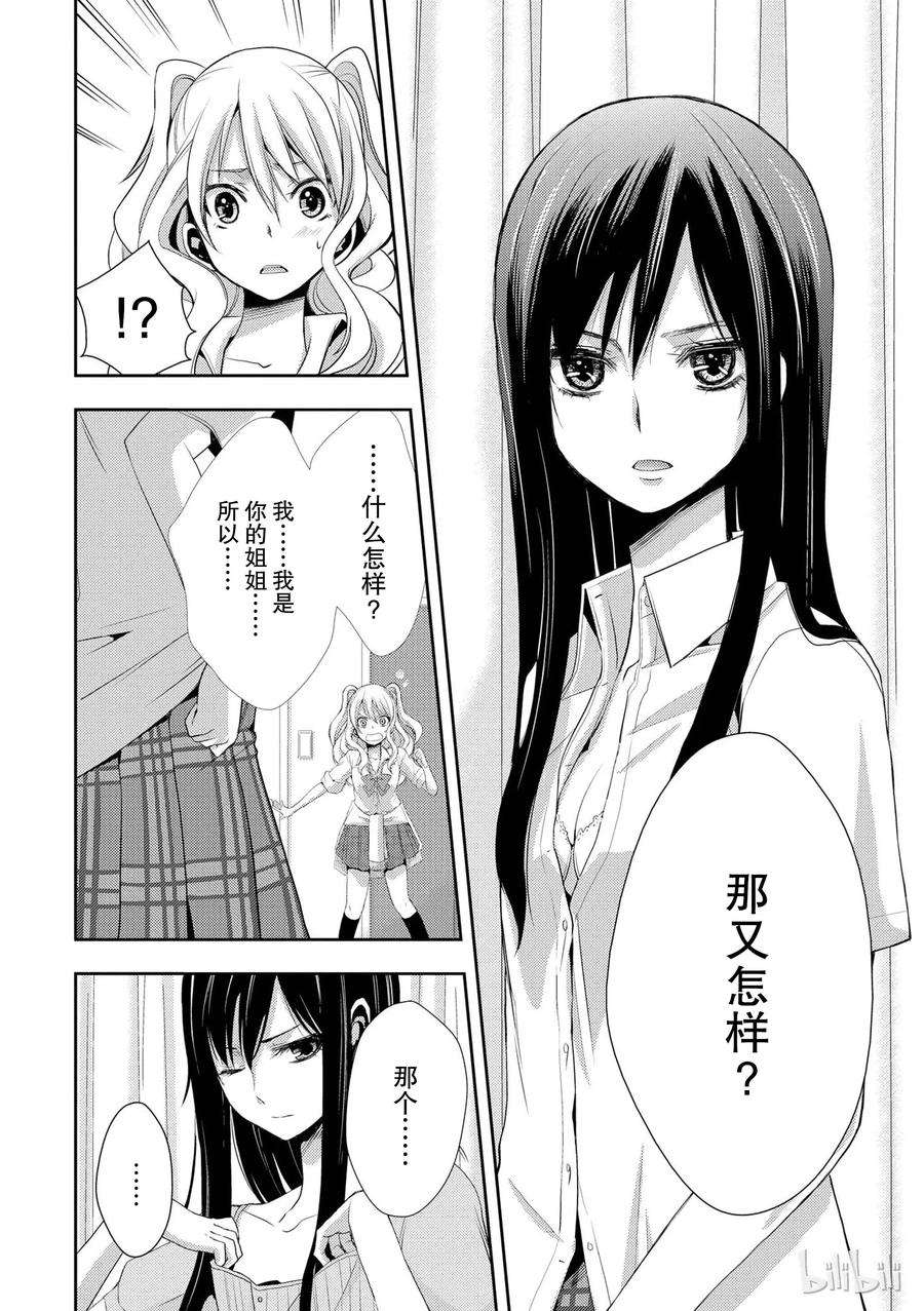 citrus 柑橘味香气02