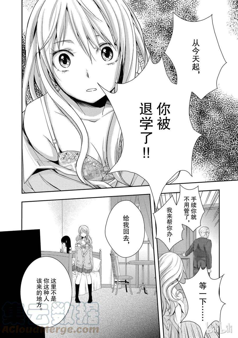 citrus 柑橘味香气03