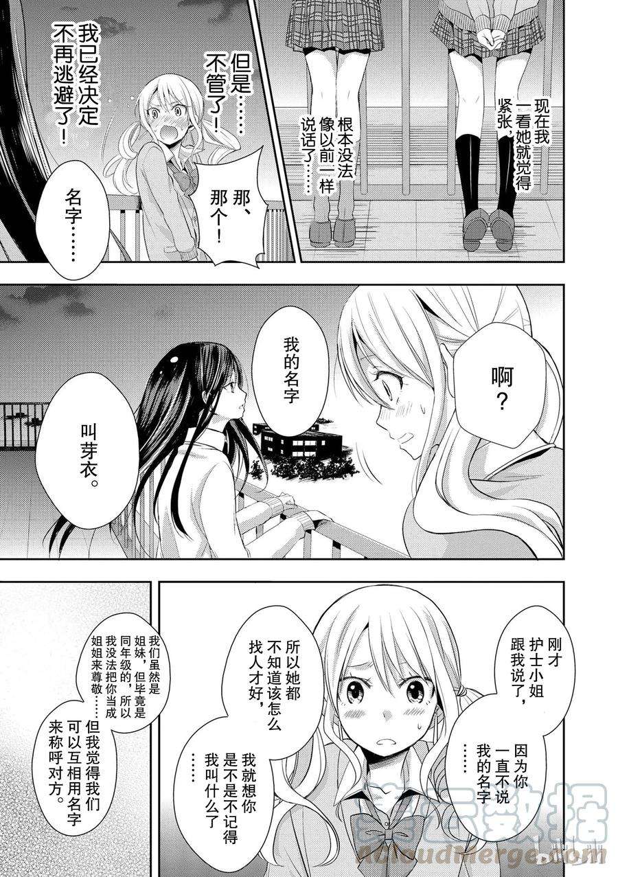 citrus 柑橘味香气03