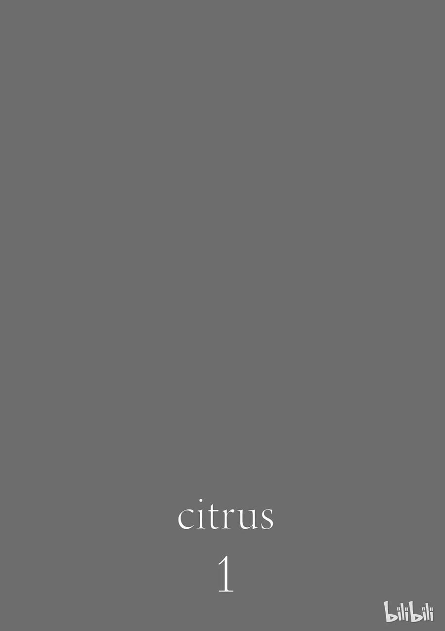 citrus 柑橘味香气03