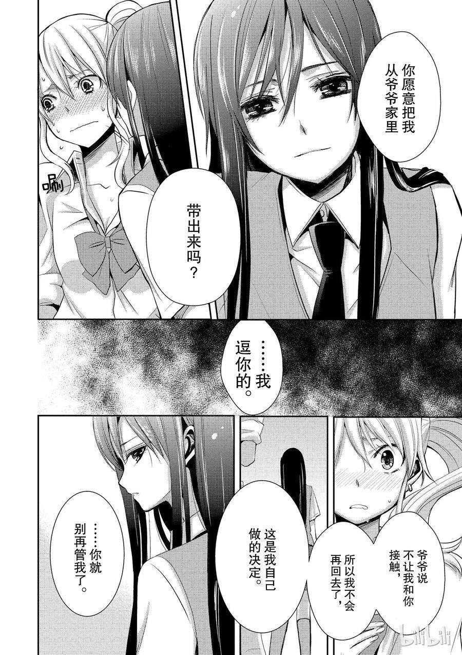 citrus 柑橘味香气03