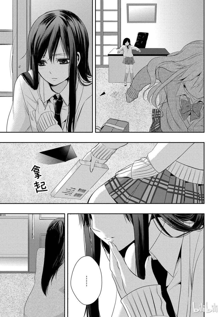 citrus 柑橘味香气04