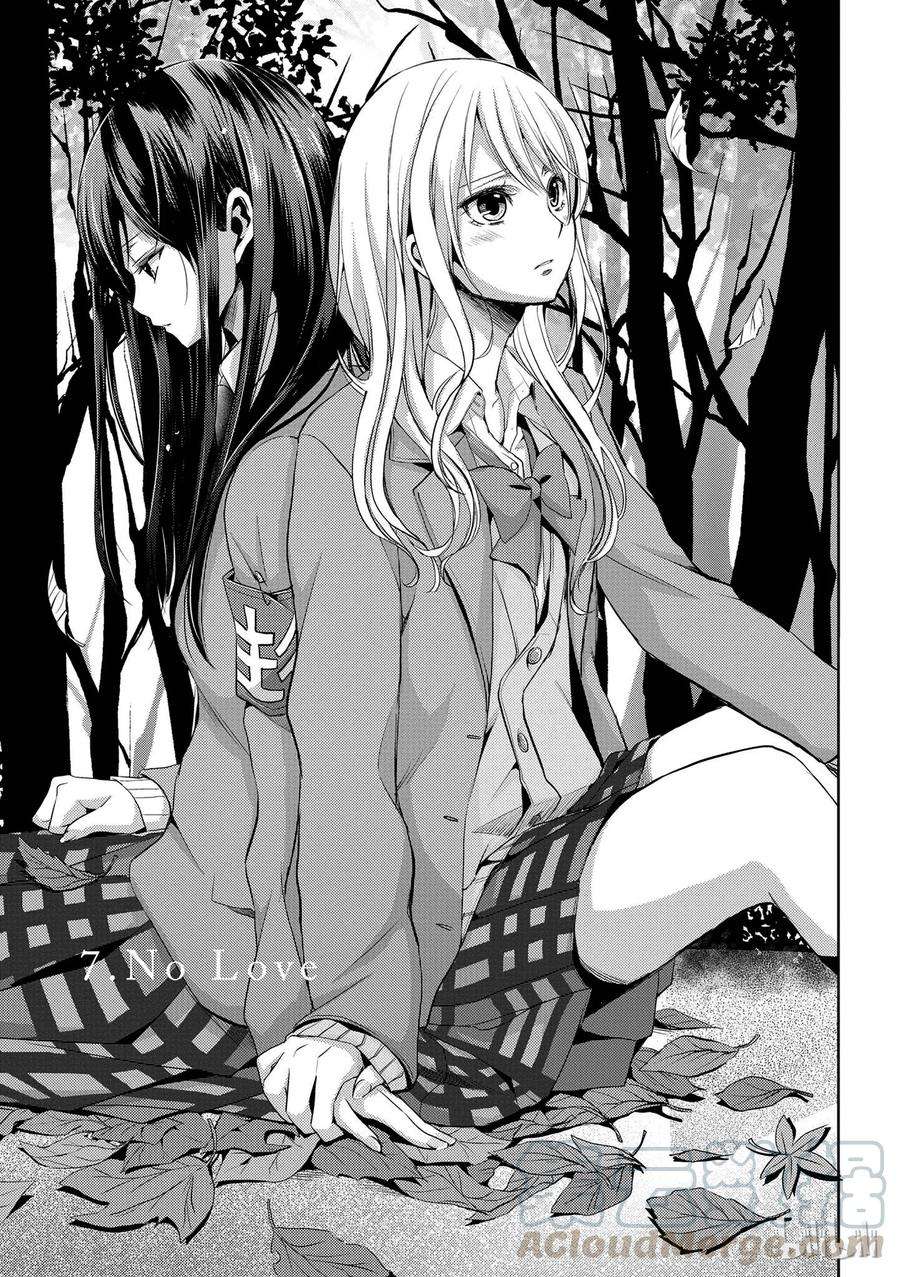 citrus 柑橘味香气07