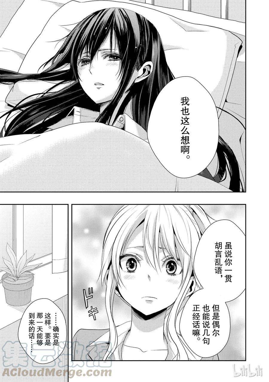 citrus 柑橘味香气07