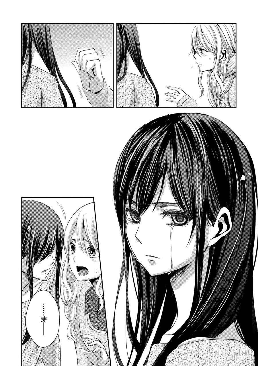 citrus 柑橘味香气07