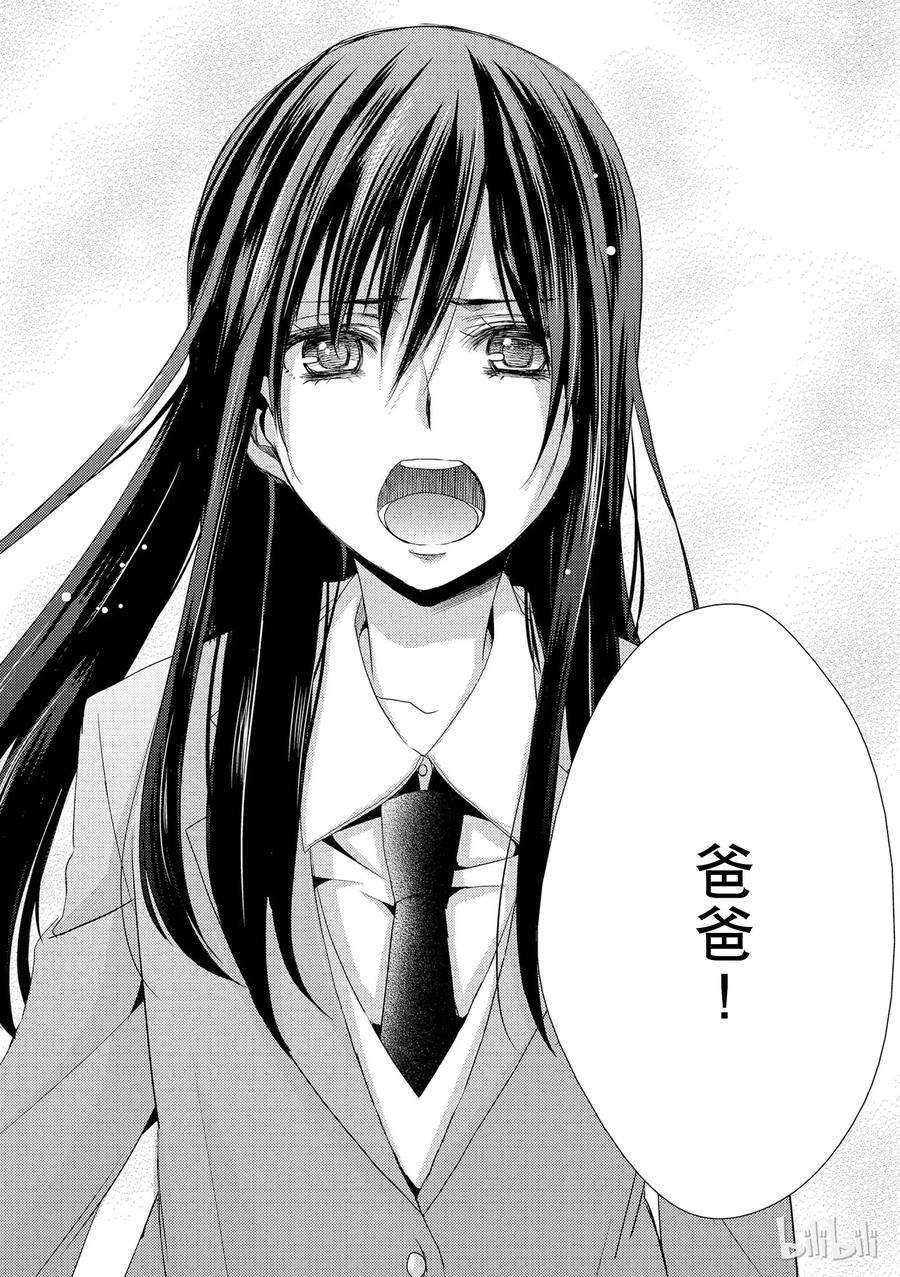 citrus 柑橘味香气08