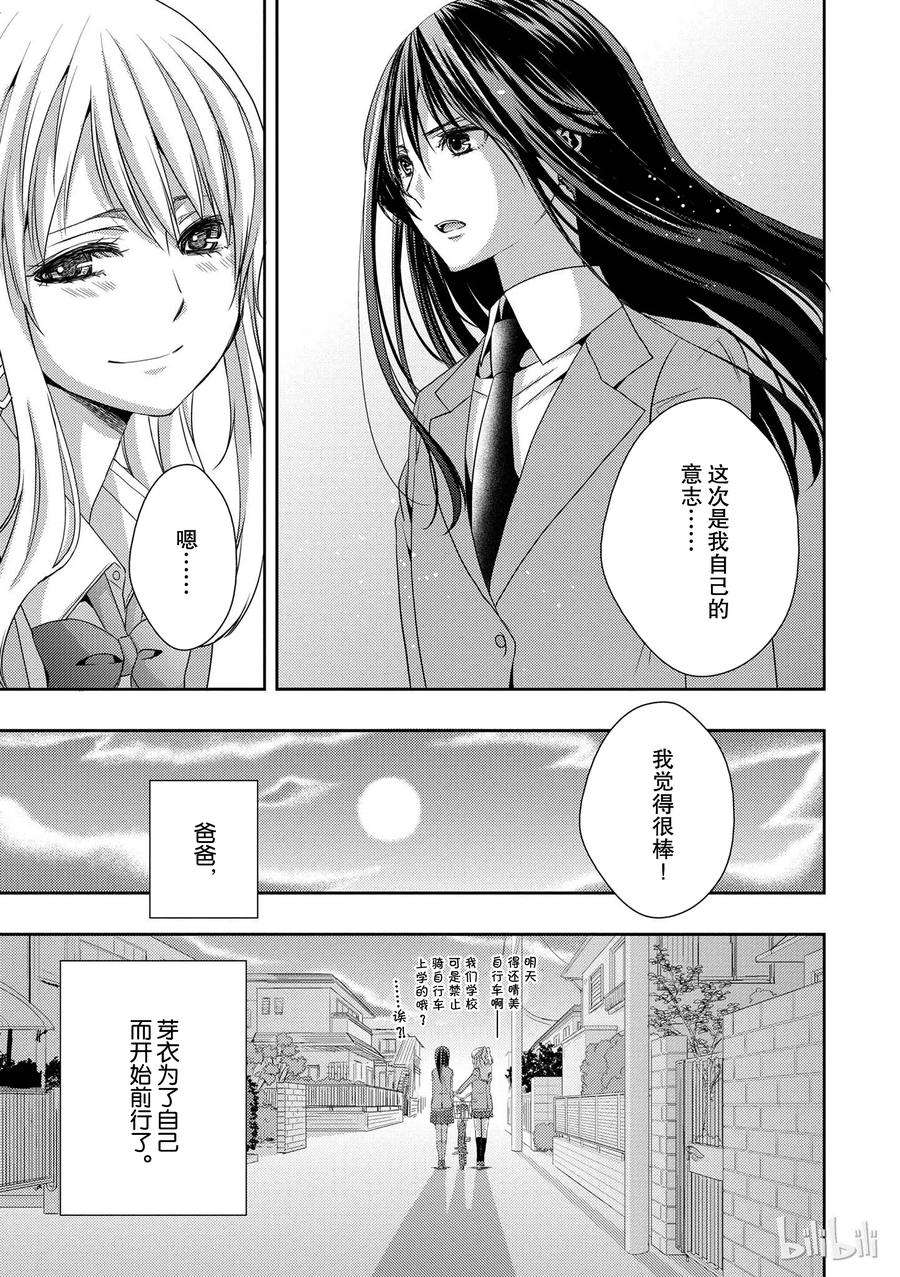 citrus 柑橘味香气08
