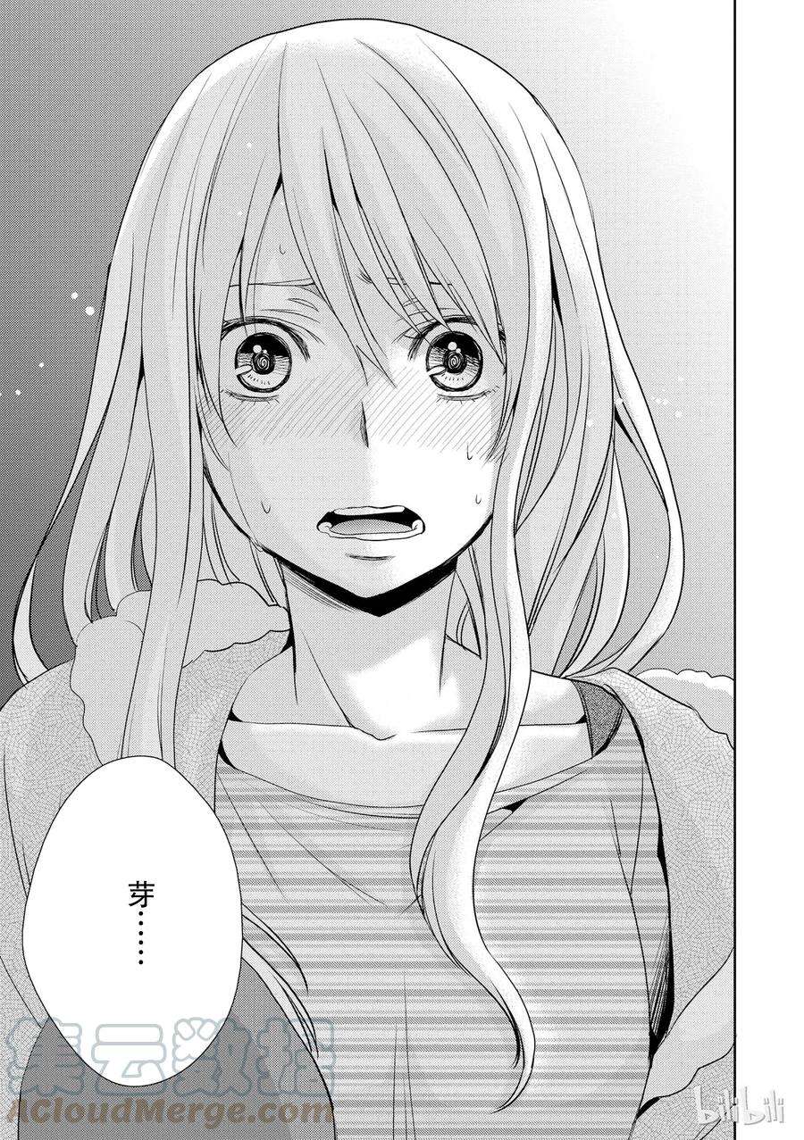citrus 柑橘味香气08
