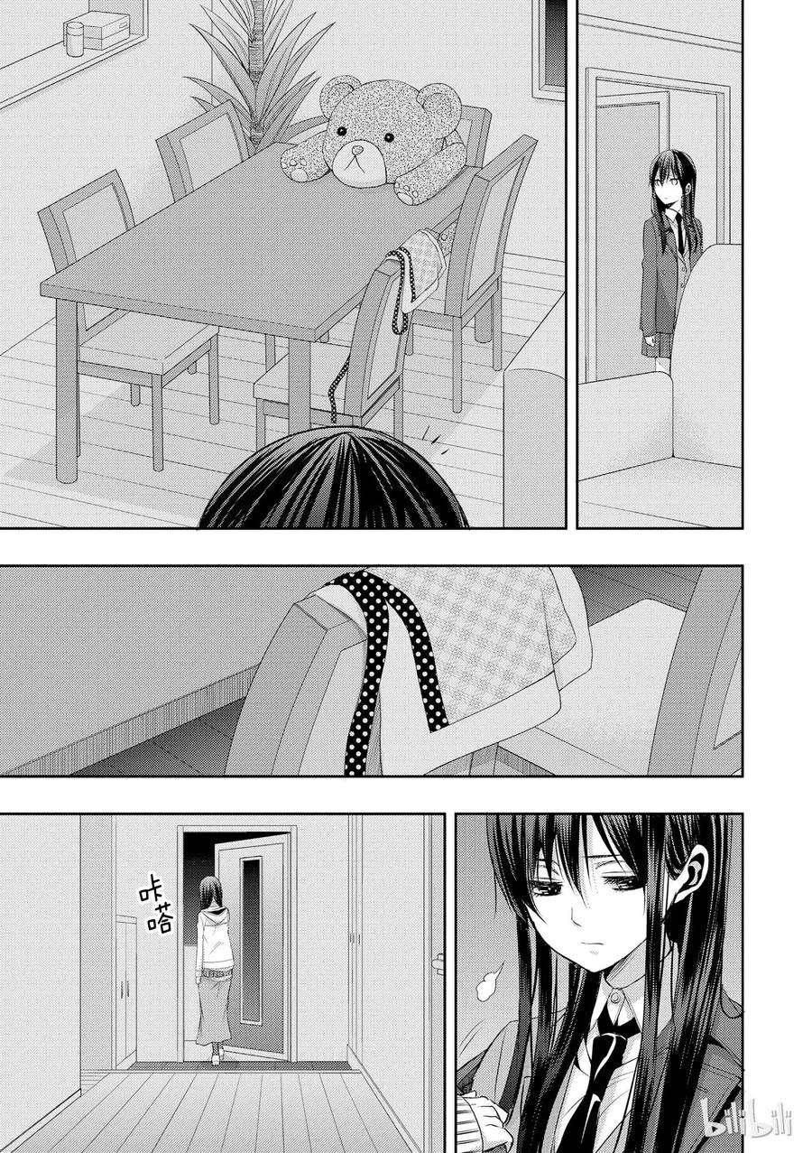 citrus 柑橘味香气09