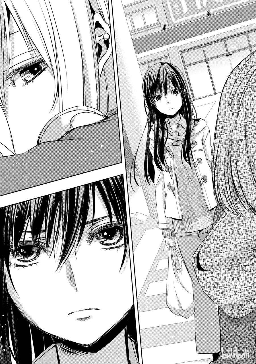 citrus 柑橘味香气09