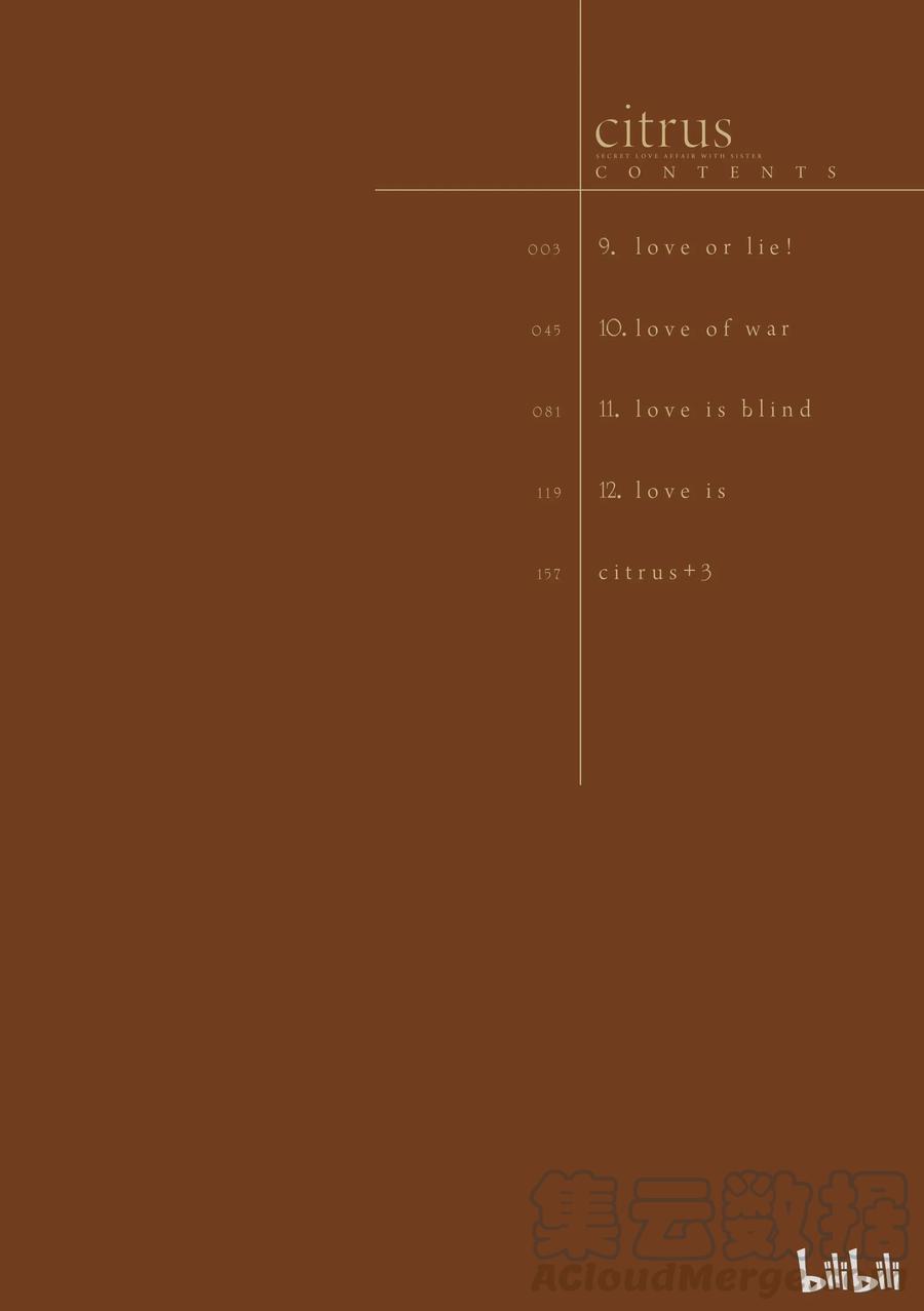 citrus 柑橘味香气09