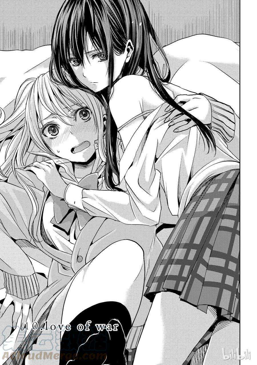citrus 柑橘味香气10